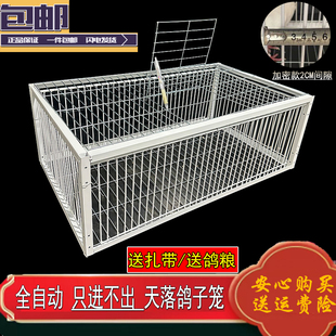 新款加密天落笼只进不出鸽子笼活络门鸽笼自动门撞门户外鸽子笼子