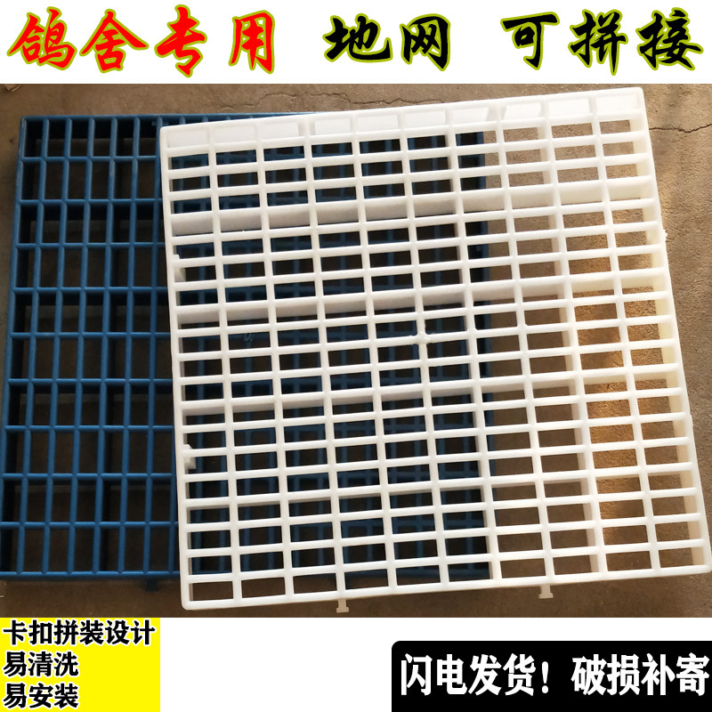 养殖地网鸽鹏地网拼接漏粪网格鸽子赛鸽信鸽网格板鸽舍鸽笼专用网