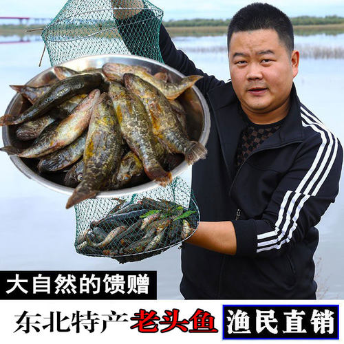 老头鱼黑龙江特产东北鲜活