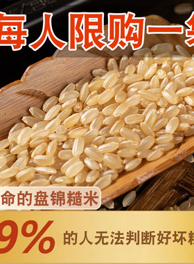 东北糙米新米保证新鲜