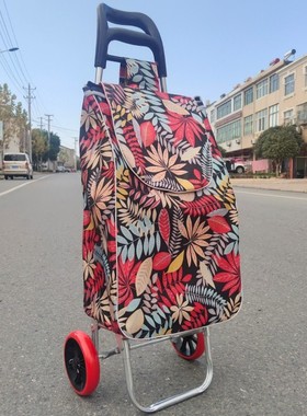 买菜车小拉车买菜神器拉杆车小推车老年人超市购物包家用便携折叠