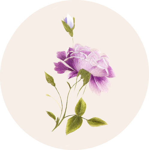 苏绣刺绣手工diy套件自绣材料包