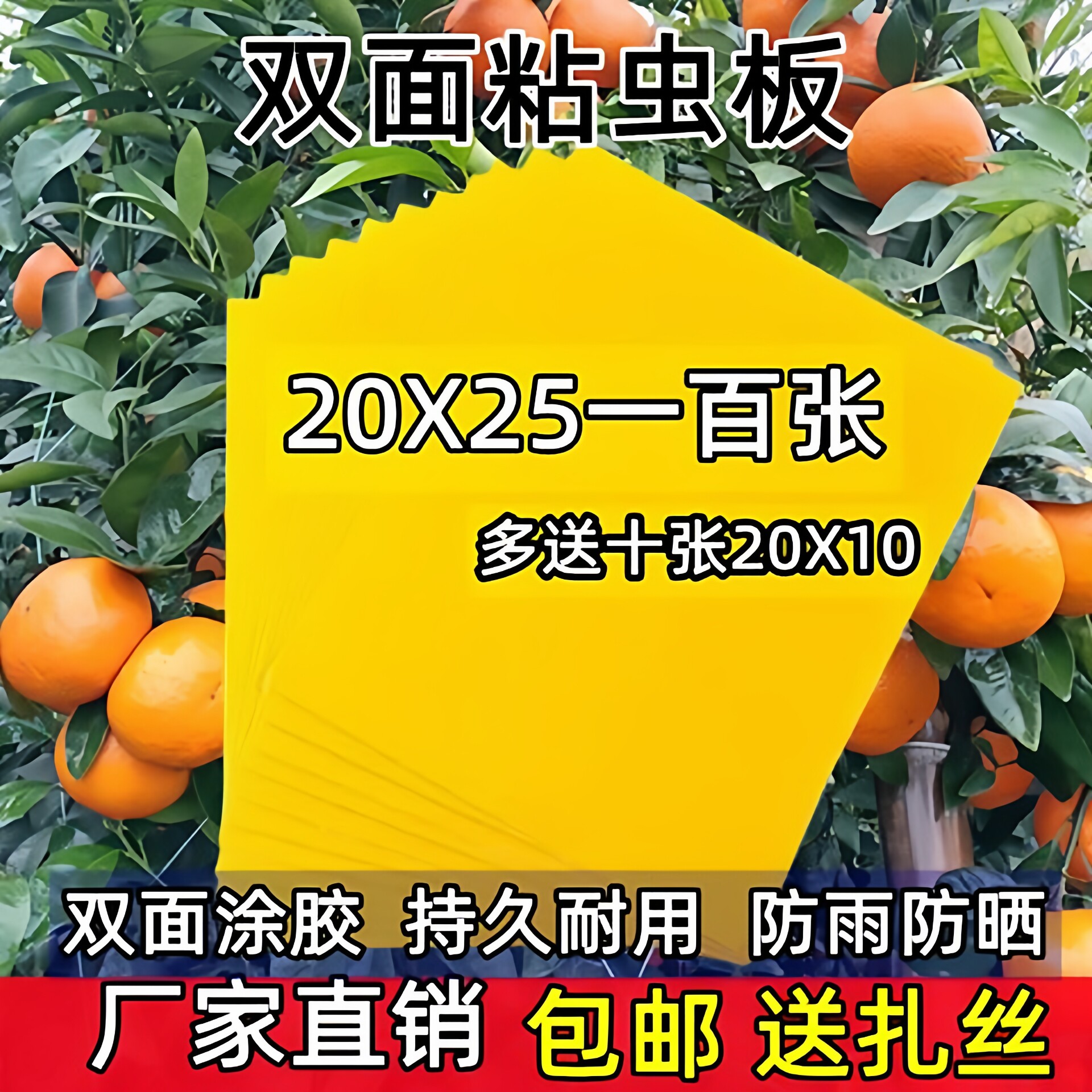果蝇诱捕器丝瓜果树菜园粘虫球针锋引诱剂马蜂柑橘实蝇粘虫板橘子
