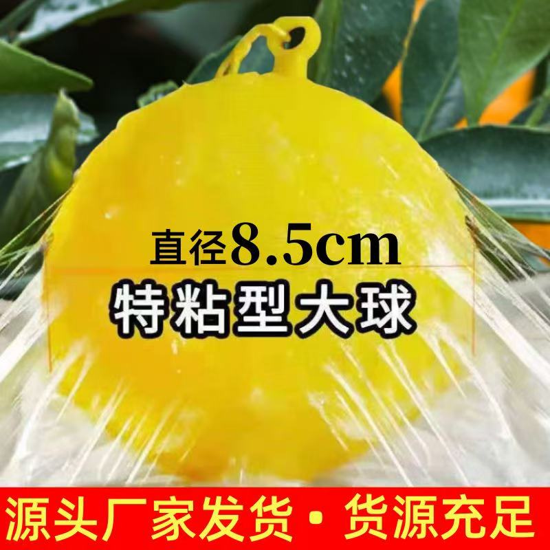 果园诱蝇球柑橘大小实蝇瓜果树针蜂贴果虫诱捕器果蝇粘虫板粘蝇球