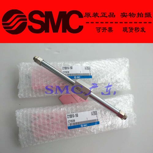 CY3B32-1800 1850 1900 1950 2000 CY3B40 SMC原装正品无杆气缸TF