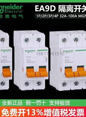 施耐德EA9D隔离开关2P 3P 4P 32A 63A 100A MGNEA9D/EA9D-INT125