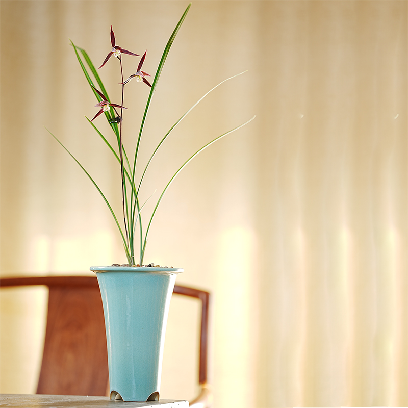 紫砂原矿釉简约促根易服盆