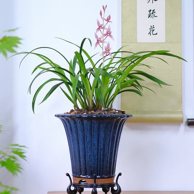紫砂上釉慕古名家手作透气专用