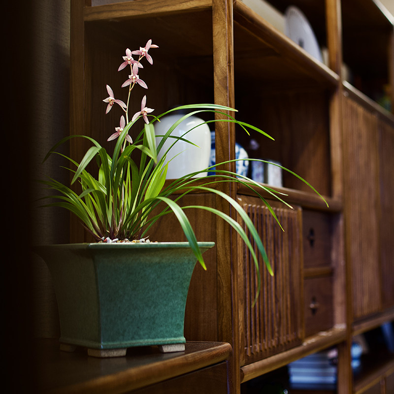 轻奢 秦夕洪 茶沫绿釉手工 名家紫砂盆 兰花 铁树 盆景 内门竹盆