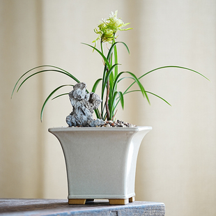 内门竹 轻奢 手工紫砂釉盆春兰 白釉四方盆 建兰松竹盆 秦夕洪