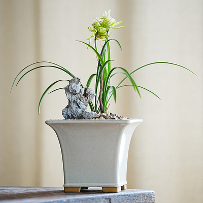 原矿紫砂慕古名家亲制