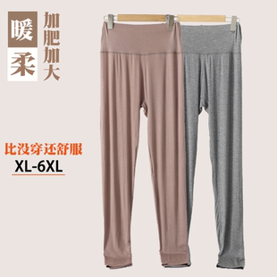 女士加大码秋冬纯色高腰莫代尔秋裤胖妹妹高弹显瘦柔软亲肤家居裤