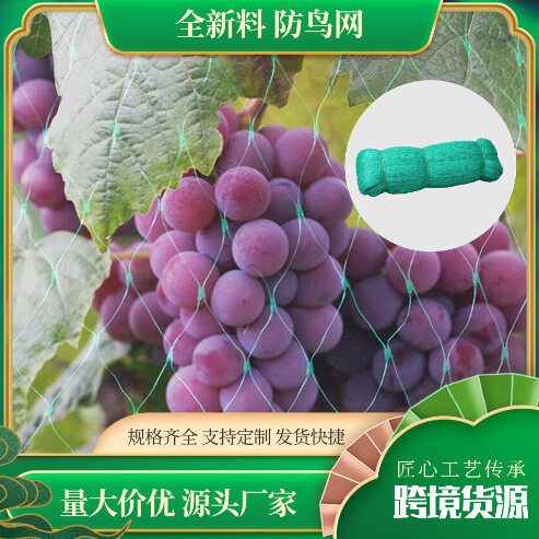 防鸟网花园防护网PE挤出网庭院