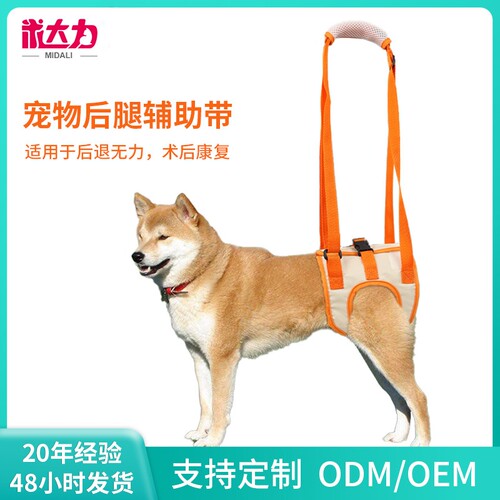 宠物后腿辅助带｜高龄残疾受伤犬