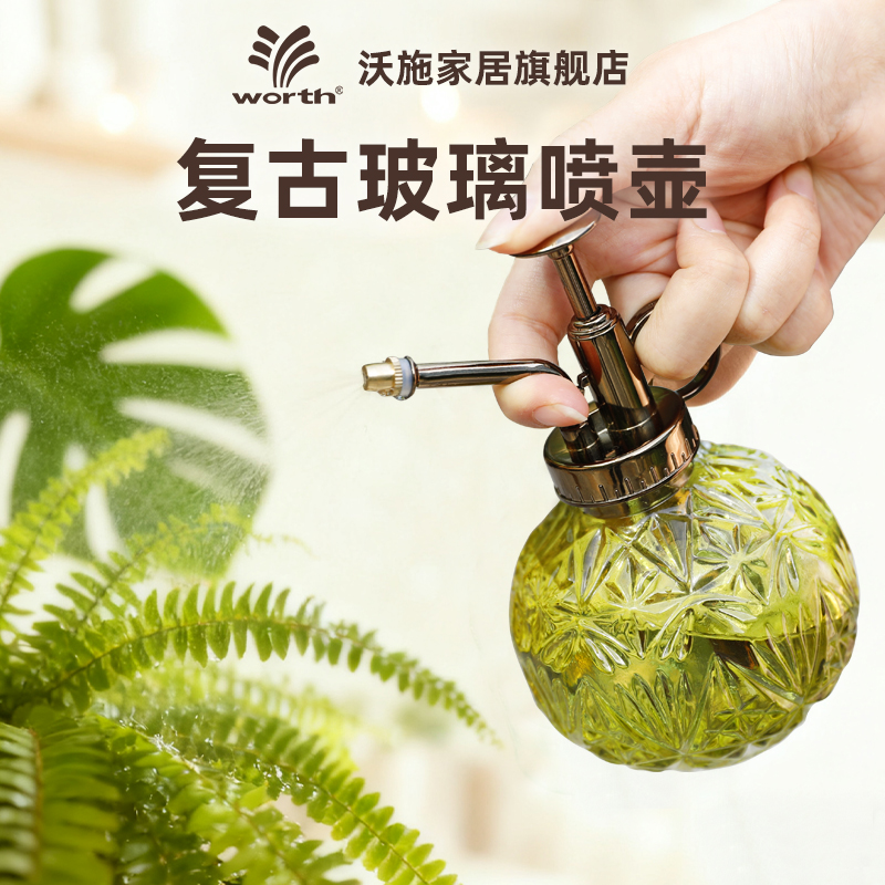 沃施玻璃小喷壶多肉盆栽浇水