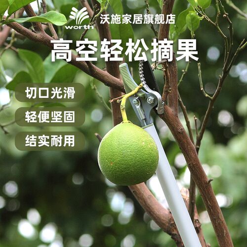 沃施worth园艺高枝采果剪刀摘果器高枝剪采果剪琵琶荔枝摘果剪