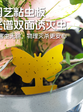 沃施worth粘虫板双面诱虫小黄板去除室内蚊小黑飞虫贴纸诱捕器