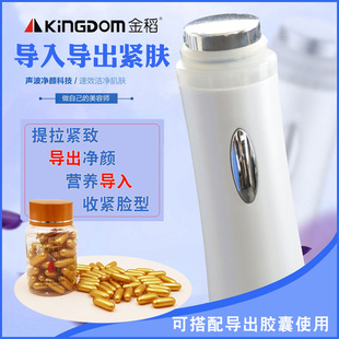 金稻KDS611超声波导入仪导出美容仪器美容院手持家用排导非铅汞毒
