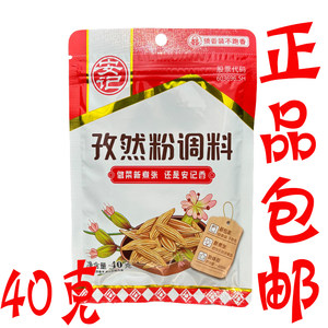 安记孜然粉调料40g/袋烧烤撒料