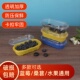 一次性透明水果盒蓝莓盒桑葚樱桃盒加厚保鲜打包盒超市专用