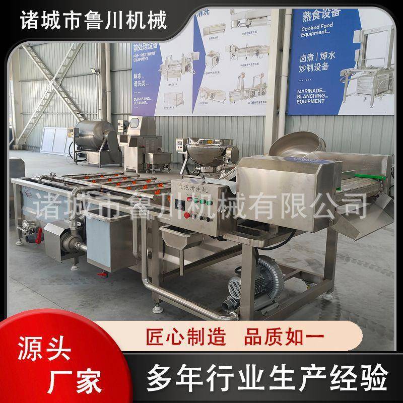 全自动果蔬气泡清洗机商用多功能海蛎子清洗机中药材鼓泡清洗机