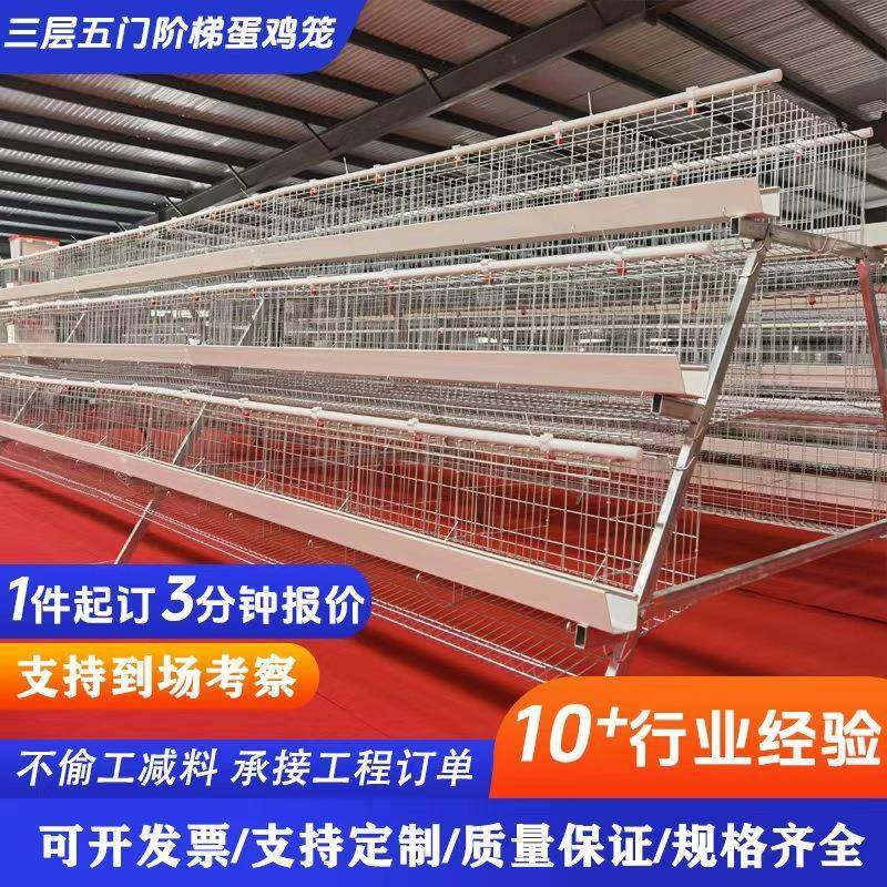 鸡笼A型冷镀锌热镀锌阶梯蛋鸡笼三层五门绿槽白槽大型养殖场家用,畜牧/养殖物资,特种养殖设备,淘宝优惠券,粉丝福利购,淘宝优惠卷