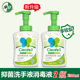 2瓶 清香大容量300ml 净安抑菌洗手液泡沫型 家用成人儿童正品
