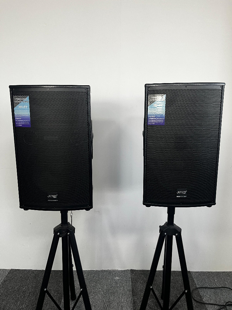 Passiv yüksək güclü səhnə dinamiki, karaoke və toy üçün