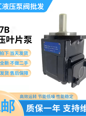 T67B B04 1R02 A1M0 VC00叶片泵T6CT6DT6E液压定量泵工程机械油泵