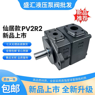RAA 高压叶片泵PV2R2 41定量液压油泵