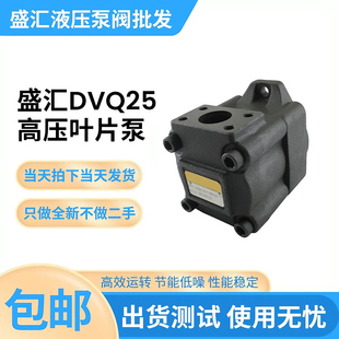 高压叶片液压泵总成DVQ25 RAA