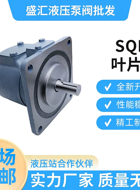 高压子母叶片泵SQP4-30 35 38 42 45 50 57 60 66 75-1A B C D-18