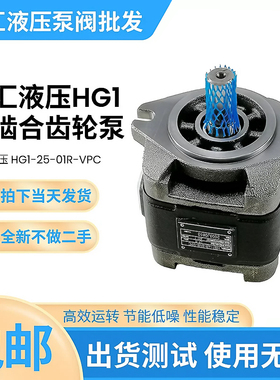 液压内啮合齿轮油泵HG0/1/2-08/10/13/16/20/25/32/40/50-01R-VPC