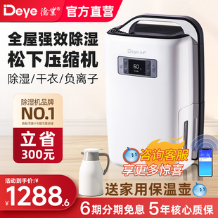德业除湿机家用静音透明水箱 N20A3 别墅客厅抽湿器DYD