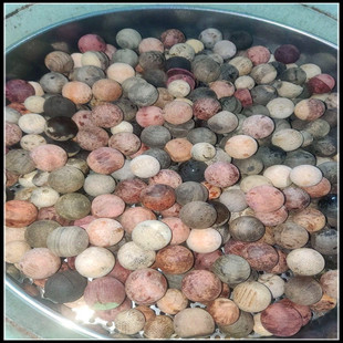 瑕疵无孔毛胚珠枕芯珠1.5-2.0檀木红木合香珠实木按摩佛珠珠子料