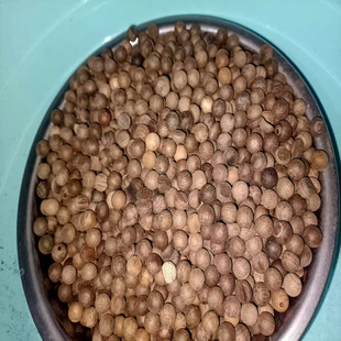 5斤实木原木珠 胚珠坏珠瑕疵珠枕芯珠红檀绿檀黄金檀楠木非洲檀香