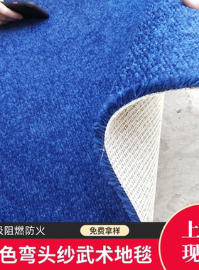 蓝色武术馆加厚10-12mm弯头纱地毯B1级阻燃办公室大面积整铺4米宽