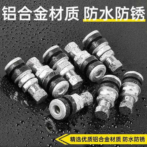 TR161气门嘴摩托车真空胎气嘴电动车轮胎加气充气阀33/39MM打气嘴