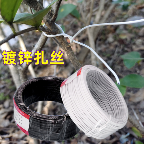 厂家直销镀锌铁扎丝葡萄架扎丝