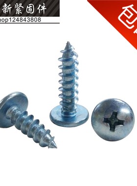蓝锌加硬大扁头自攻螺丝伞头蘑菇头自攻钉TA尖尾木螺钉M5M6