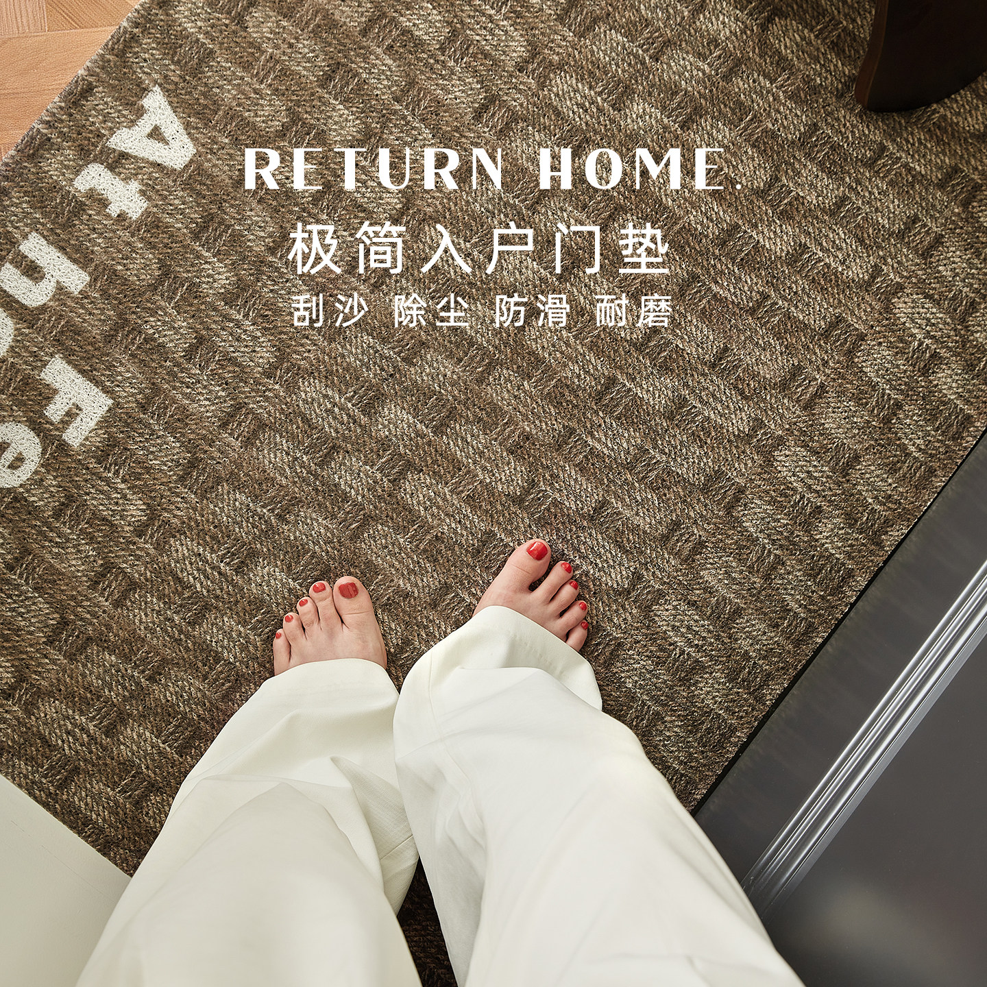 入户门地垫丝圈门口地毯门垫进门可裁剪耐脏防滑新款玄关中古脚垫