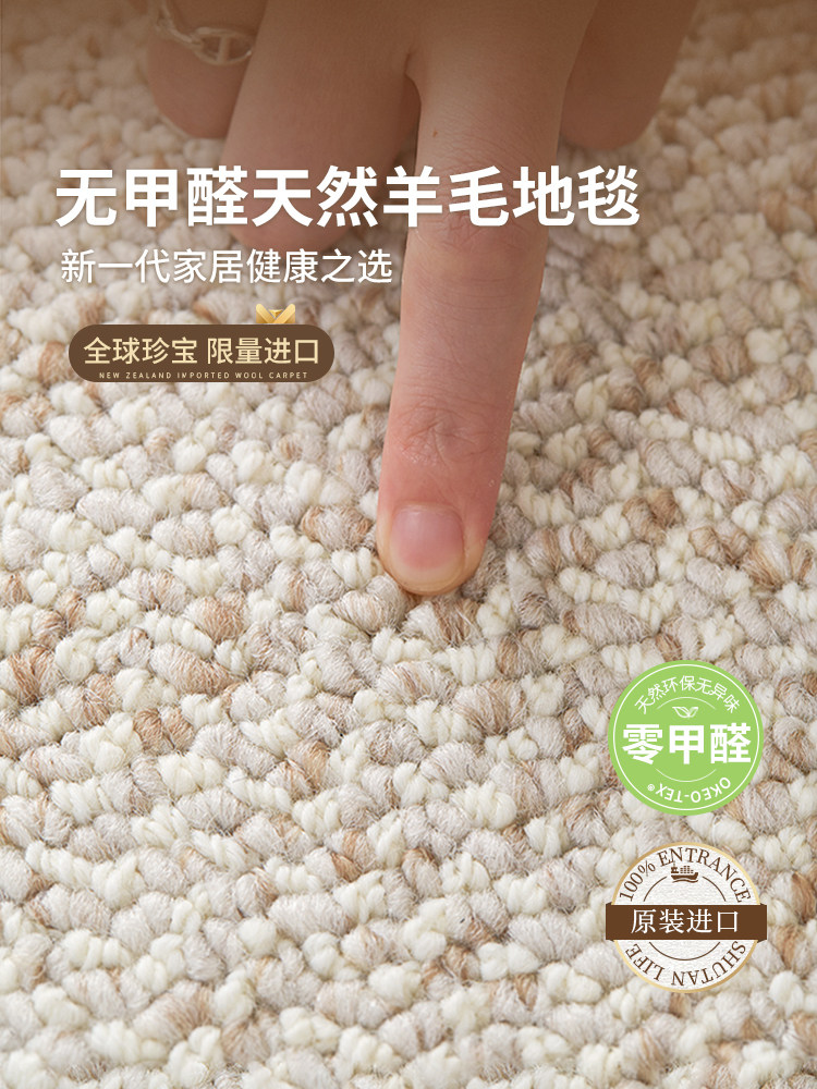 【新西兰进口】羊毛地毯2025新款轻奢高端现代休闲耐脏客厅地垫