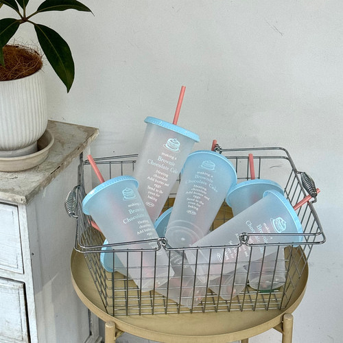 citywalk！水杯2025新款女生高颜值小众杯子夏天塑料吸管杯咖啡杯