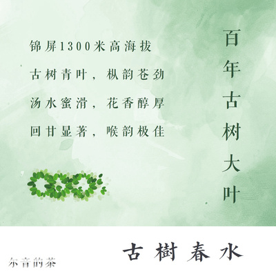 尔音/{湖上雪}系列2021年政和古树白茶枞味显著【古树春水】