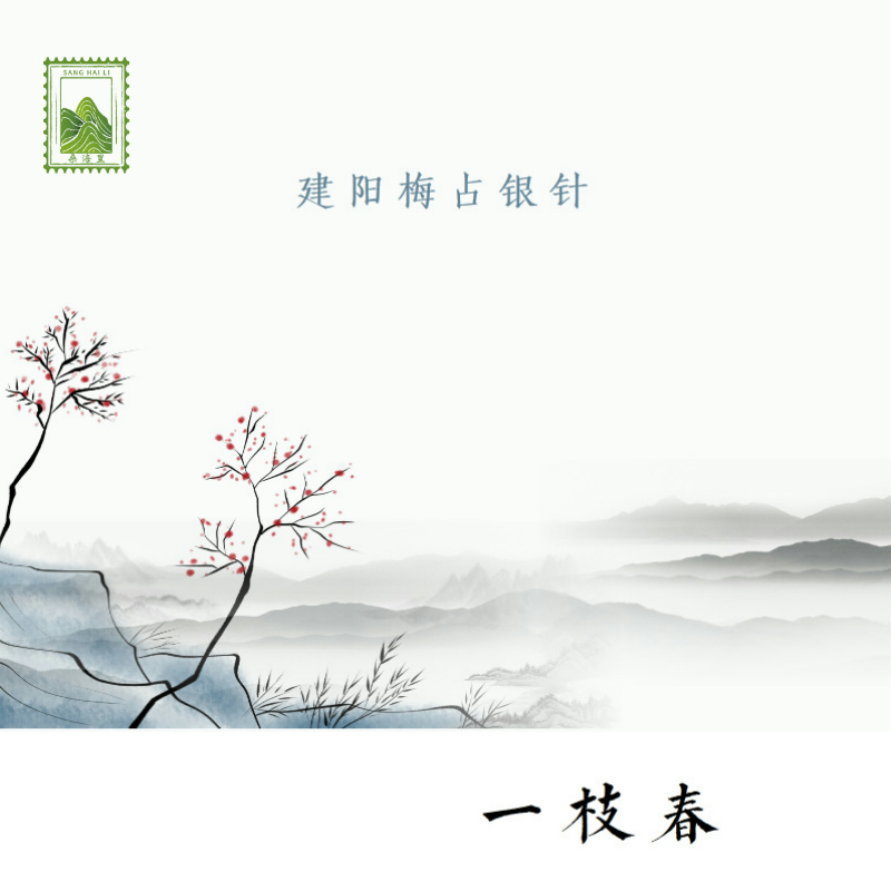 2023年建阳梅花香荒野老树梅占银针【一枝春】满200顺丰包邮