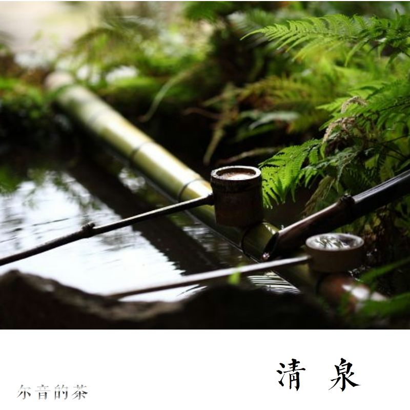 2021年政和百年荒大叶枞味显著奶香清透甜如山泉【清泉】