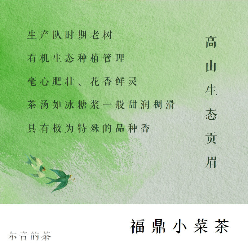 尔音/｛云中英｝系列福鼎小菜茶贡眉【云中英】
