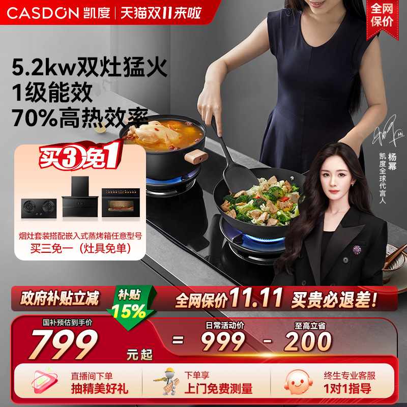 凯度T3BX-B家用猛火燃气灶煤气灶定时灶天然气双灶台U10neo系列