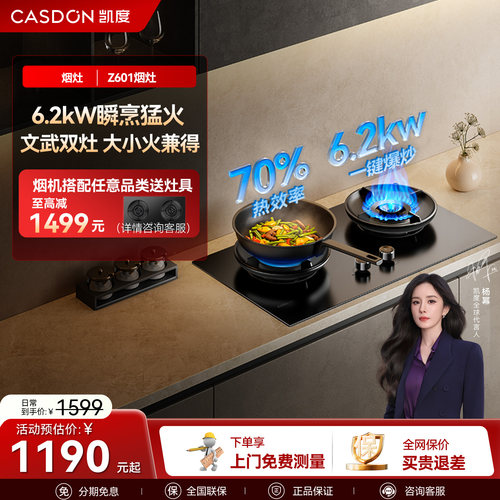 凯度大火力燃气灶煤气灶台双灶嵌入式家用节能天然气旗舰店Z601