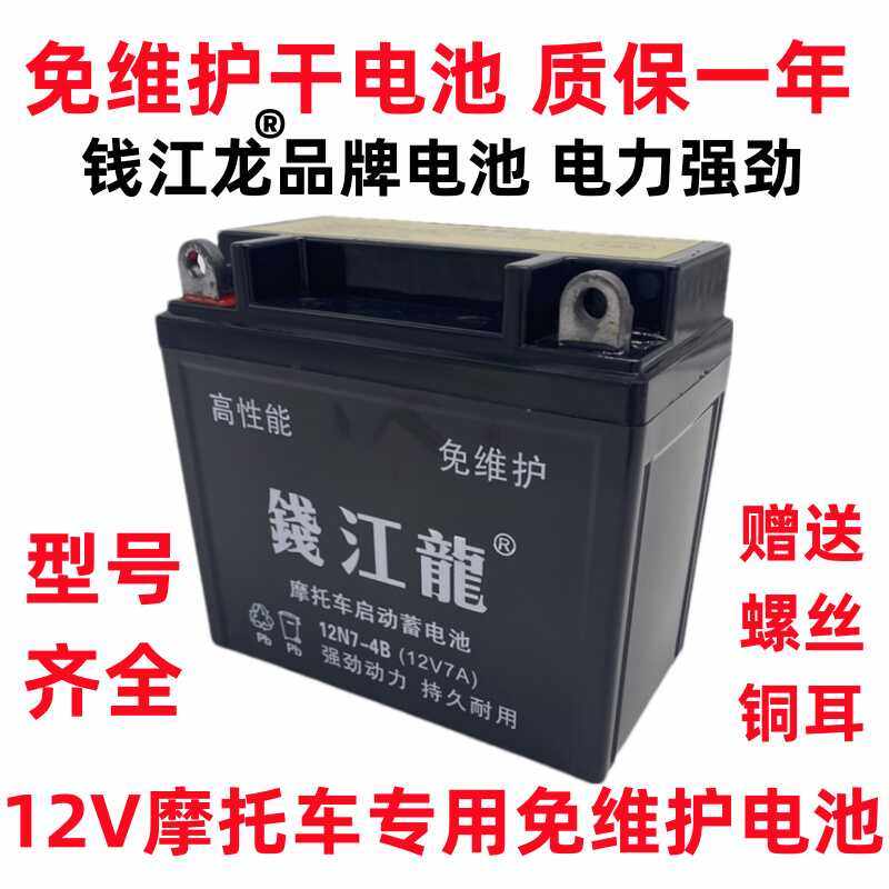 钻豹摩托车电瓶免维护蓄电池通用踏板车弯梁车12V7A5A9A6.5干电池